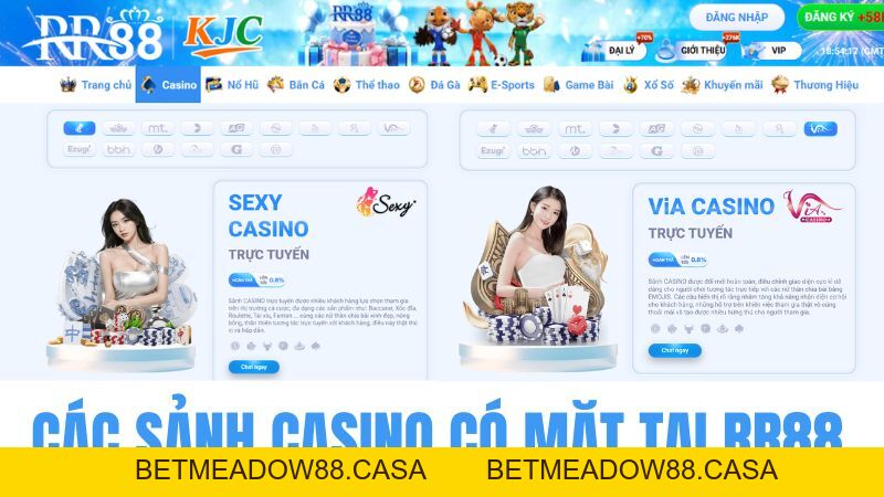 Casino RR88 – Trải Nghiệm Live Casino Người Thật Hấp Dẫn - BETMEADOW88