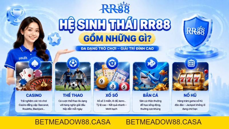 Hệ Sinh Thái RR88 Gồm Những Gì? Tổng Quan Các Chuyên Mục Giải Trí - BETMEADOW88
