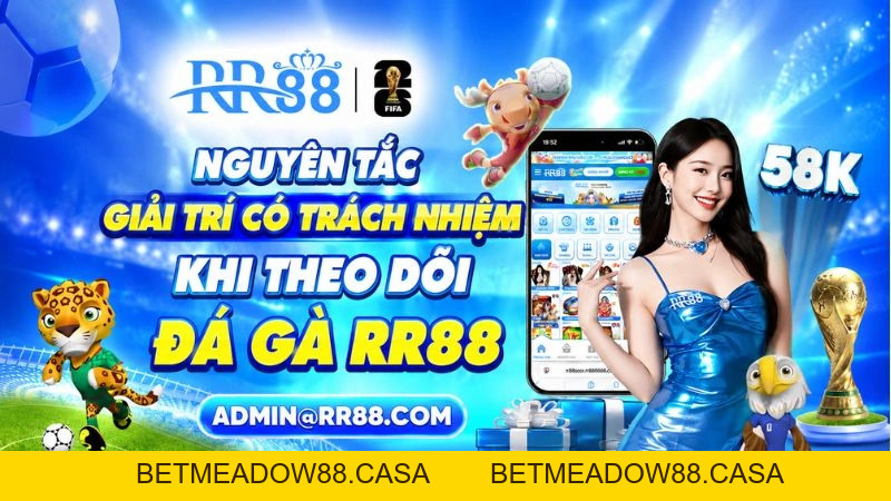Đá Gà RR88 – Tìm Hiểu Chuyên Mục Đá Gà Trực Tuyến 2026 - BETMEADOW88