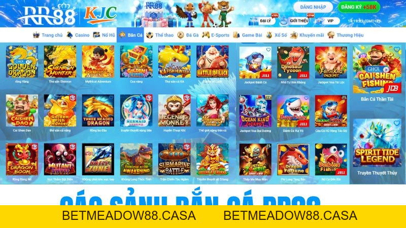 Bắn Cá RR88 – Khám Phá Game Bắn Cá Trực Tuyến Đồ Họa Đẹp 2026 - BETMEADOW88