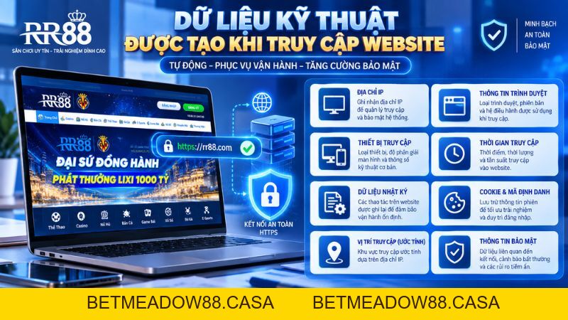 Chính Sách Bảo Mật RR88 – Cách Xử Lý Dữ Liệu Người Dùng - BETMEADOW88
