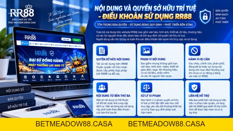 Điều Khoản Sử Dụng RR88 – Quyền, Nghĩa Vụ & Quy Định - BETMEADOW88