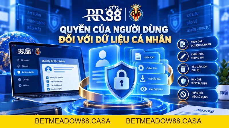 Chính Sách Bảo Mật RR88 – Cách Xử Lý Dữ Liệu Người Dùng - BETMEADOW88