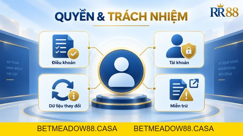 Giới Thiệu RR88 – Thông Tin Thương Hiệu & Hệ Thống - BETMEADOW88
